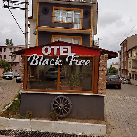 Blacktree Гостевой дом Эдирне
